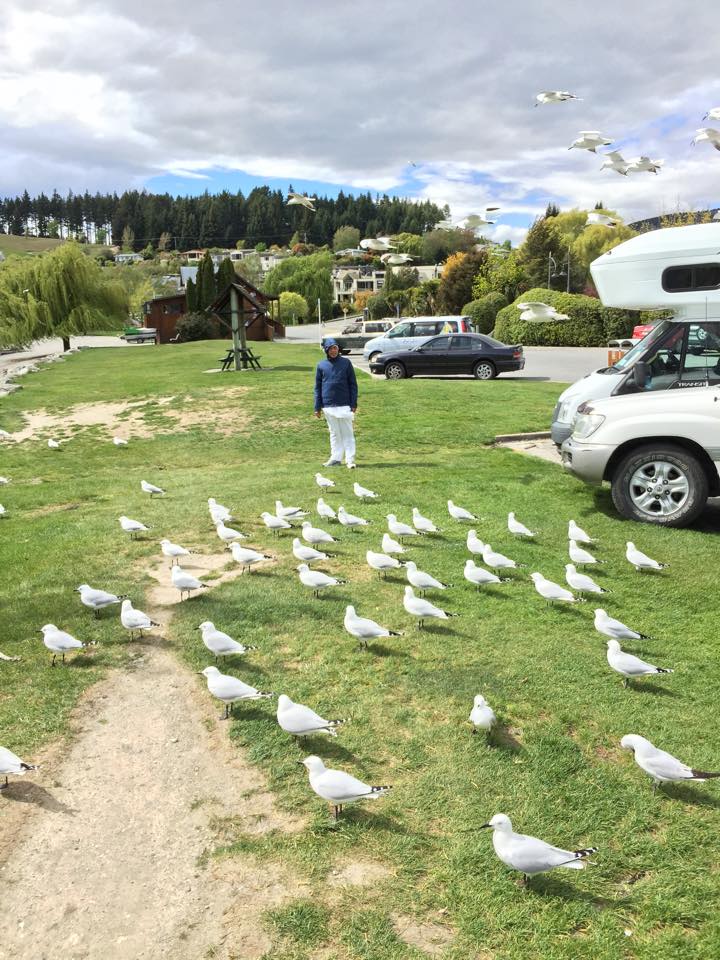 Feeding Birds In Wanaka